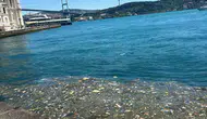 Ortaköy sahilinde çöp manzarası İstanbulluları isyan ettirdi