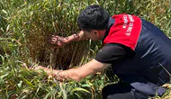 Kırklareli'nde çiftçilere erken ilaçlama uyarısı geldi