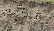 Bitlis yamaçlarında doğanın gökkuşağı mevsimi başladı