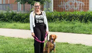 Almanya’da köpek beslemek ağır sorumluluk ve yüksek maliyet demek