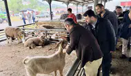 Karabük’te kurban pazarı hareketlendi