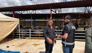 Kurban pazarında dolandırıcılara karşı dikkatli olun