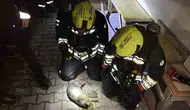 Bolu’da bir evde çıkan yangın kedinin hayatına mal oldu
