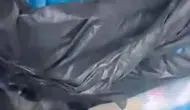 Buca'da 33 kedinin ölü bulunması sonrası veteriner hekim adliyeye sevk edildi