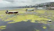 Samsun Kurupelit Marina için düğmeye basıldı