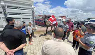 Konya kurban pazarında 330 bin liralık deve satışı