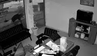 Akşehir’de ilginç hırsızlık Saksıdaki çiçekleri poşetleyip kaçtı