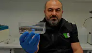 Kocaeli Ormanya’da üç yeni semender türü keşfedildi