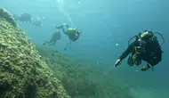 Saros Körfezi şu altı meraklılarını bekliyor