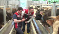 Kurban pazarında sıkı denetim dönemi başladı
