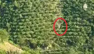 Giresun'da kamyonet 400 metreden uçuruma yuvarlandı