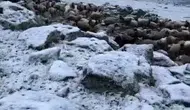 Kars’ta takvimler haziranı gösterirken lapa lapa kar yağdı