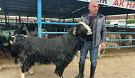 Bursa kurban pazarında devasa keçi 47 bin liraya alıcı buldu