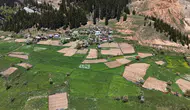 Artvin’in zirvesinde geleneksel tarım dayanışması