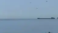 Tekirdağ sahilinde yunus sürprizi