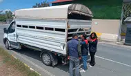 Elazığ yollarında kurbanlık sevkiyatına veteriner kontrolü