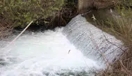 Hazar Gölü’nde doğanın en zorlu yolculuğu başladı