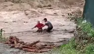 Hatay'da sel sularına aldırmadan kütük topladılar
