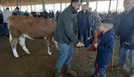 Iğdır pazarında kurban arayışı Bütçeler küçükbaşa döndü