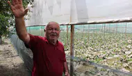 Amasya'da sel vurdu çiftçi umudunu kaybetmedi