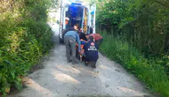 Arı sokması Kastamonu’da bir kadını hastanelik etti