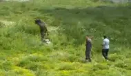 Keçiören sokaklarında kurbanlık boğa paniği yaşandı