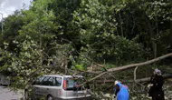 Malkara’da park halindeki araca devrilen ağaç maddi hasara yol açtı