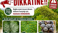 Sarıgöllü üzüm üreticilerine kritik ilaçlama uyarısı geldi