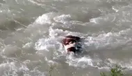Batman Sason’da su kaynaklarına atılan ölü hayvanlar hastalık saçıyor