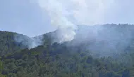 Fethiye ormanlarında korkutan yangın kısa sürede söndürüldü
