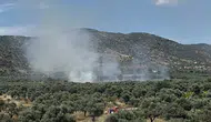 Bayındır’da zeytinlikleri alevler sardı