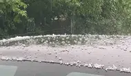 Bingöl yükseklerinde aniden bastıran dolu tarlaları vurdu