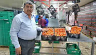 Domates fiyatlarında yüksek seyir ve üretim planlaması sorunu