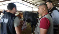 Adıyaman kurban pazarında dolandırıcılık alarmı