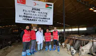 Kızılay kurban kesimlerini üç kıtada başlattı