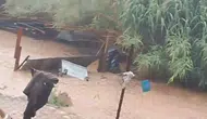 Adana Sarıçam’da dere taştı sular bahçe kapılarını götürdü