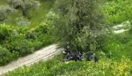 Hatay sınırında ağaç altındaki göçmenleri dron kamerası ele verdi