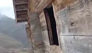 Rize’de yaylacıdan ayıya sitem Pencereyi kırma kapıdan gir