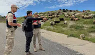 Sason’da jandarmadan besicilere bayram öncesi hırsızlık uyarısı