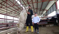 Elazığ’da kurbanlık pazarına 140 kilogramlık dev keçi damga vurdu