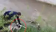 İtfaiyeci ısıran köpeği kurtarmak için pes etmedi