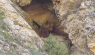 Tunceli’nin vahşi doğasında anne ayı ve yavrularının huzurlu anları