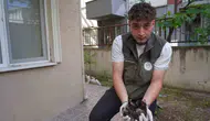 Bilecik sokaklarında mazgala düşen yavrulara belediye müdahalesi