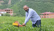 Çay tiryakilerini üzecek zam kapıda