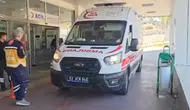 Yılanı vurmak isterken beş kişiyi vurdu