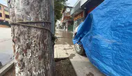 Turhal'da sel paniği otomobili ağaca bağlattı