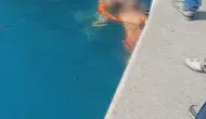 Emirgan sahilinde korkutan anlar