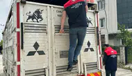 Düzce kurban pazarlarında sıkı denetim dönemi başladı