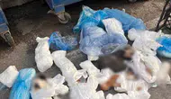 İzmir’de çöpe atılan 33 kediyle ilgili veteriner mahkemeye çıkarıldı