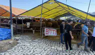 Avcılar hayvan pazarında kurbanlıklar tükendi tabelalar asıldı
